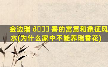 金边瑞 🐞 香的寓意和象征风水(为什么家中不能养瑞香花)